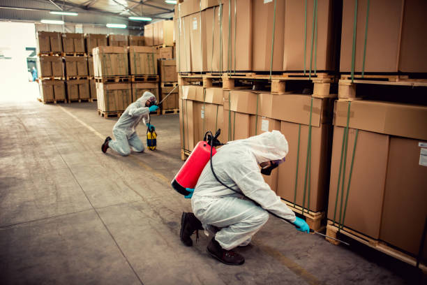 Reliable Ronkonkoma, NY Pest Control Solutions