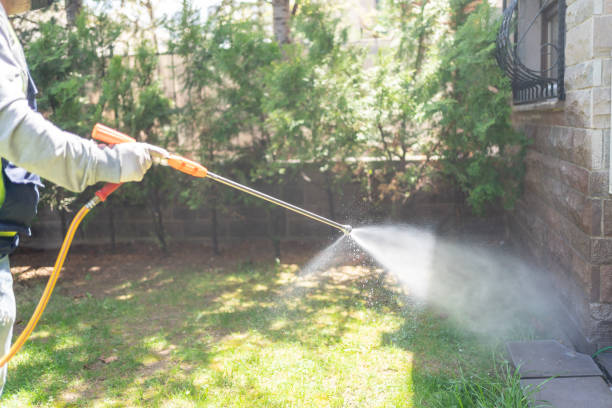 Pest Control Cost in Ronkonkoma, NY