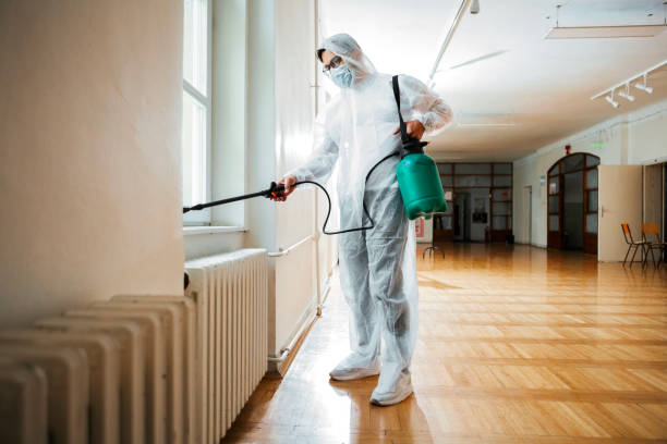 Pest Prevention Services in Ronkonkoma, NY