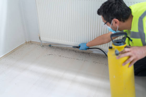 Best Local Pest Control Services  in Ronkonkoma, NY